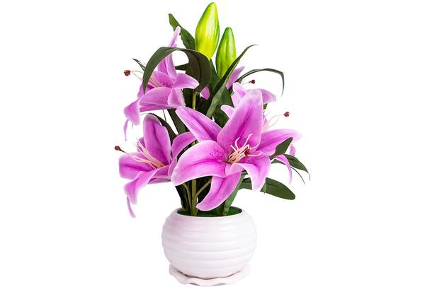 Dekonaz Dekoratif Çiçek Seramik Saksılı | Pembe | Sas1189-p