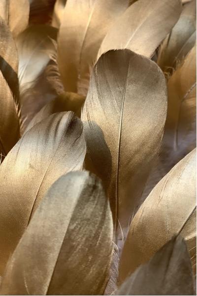 Soley Asalet دي جي تي. 40x60 بساط حمام 1006 01