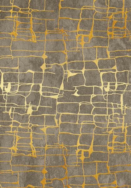 سجادة كوزي للمنزل قابلة للغسل وغير قابلة للانزلاق Rfe6576 80x150