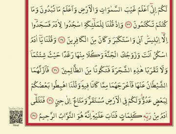 Kuranı Kerim - 30 Cüz Kuran - Beşli Cüz - Rahle Boy - Ayfa Yayınevi