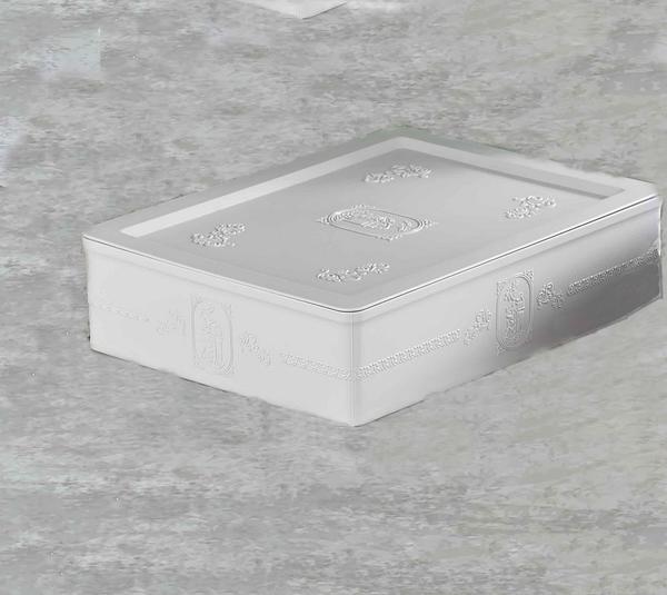 Bayev SD-4260 Kapaklı Düzenleyici (Düz)