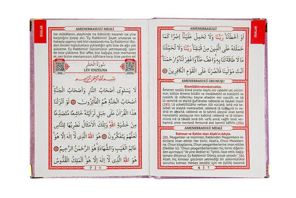 20 Pieces - Velvet Covered Imported Paper Yasin Book - 80 Pages - Special to Name - Bag Size - Pink Color - Me