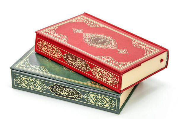 Le Saint Coran - Arabe ordinaire - Hafez Boy - Hayrat Publications - Computer Line