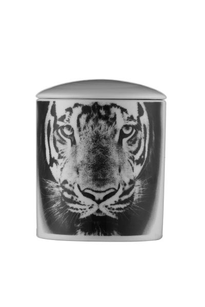 Kütahya Porselen Bardak Mum Kaplan Desen