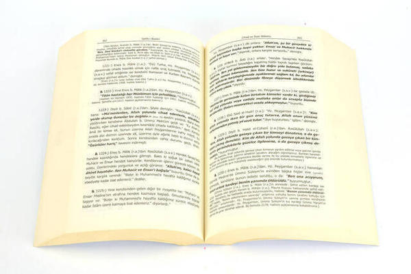 Sahih-i Buhari Muhtasarı Tecrid-i Sarih