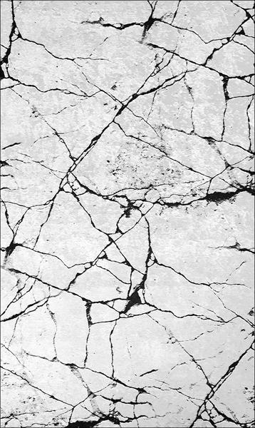 Kozzy Home Yıkanabilir, Kaymaz Taban Halı 6391 80x150