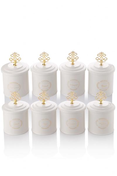 8 Adet Galvaniz Lüx Baharat Takımı