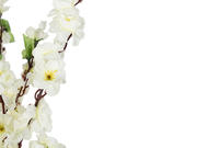 Preview: Bavary | Dekoratif Çiçek | Beyaz | 130x38cm | By-ths-2 Preview: Bavary | Dekoratif Çiçek | Beyaz | 130x38cm | By-ths-2