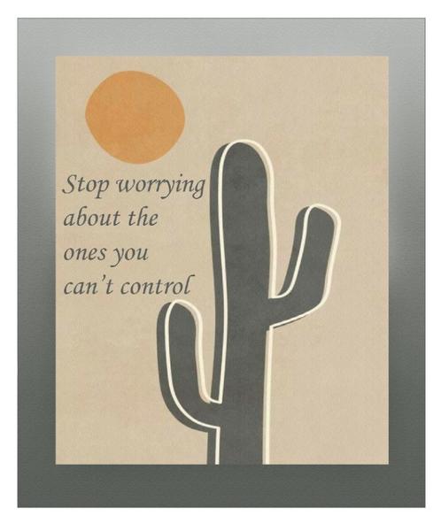 Bayev 40x60 Tasarım Motto Serisi Banyo Paspası - Motto Kontrolü Bırak 2193