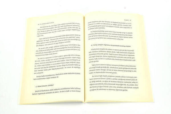 El-Münkız Mine'd-Dalal Dalaletten Hidayete