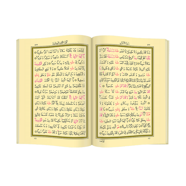 Der Heilige Koran - Normales Arabisch - Hafez Boy - Boxed - Hayrat Publications - Computer Line