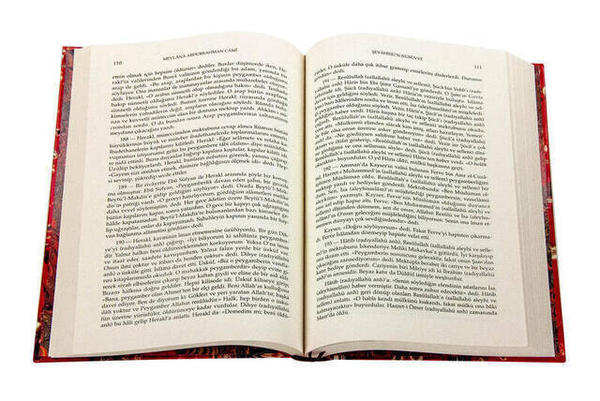 Prophetische Evangelien und Wunder