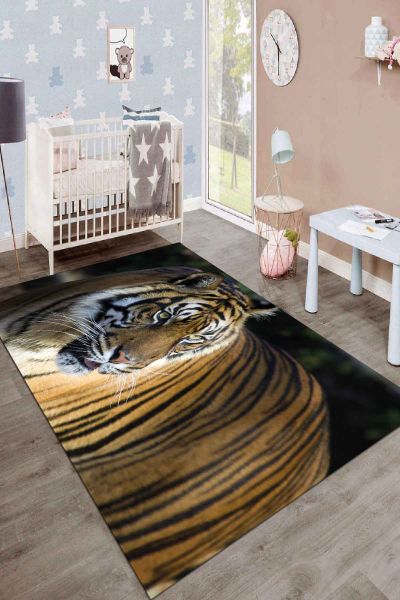 Birkilim Yıkanabilir İpeksi Kaymaz Taban Çocuk Odası Halısı | MLN-IP-SD-216