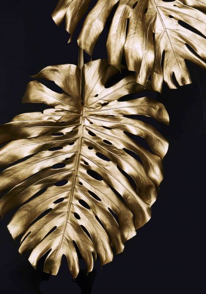 Kozzy Home Tapis de sol lavable et antidérapant 6407 80x150