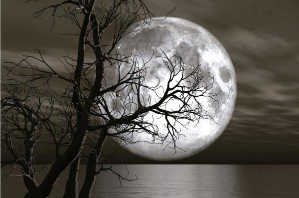 سولي آي دي جي تي. 40x60 بساط حمام 1018 01