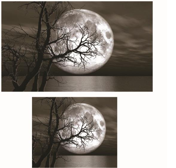 Soley Ay Djt. 2 Piece Bath Mat Set Closet Set 1018 01