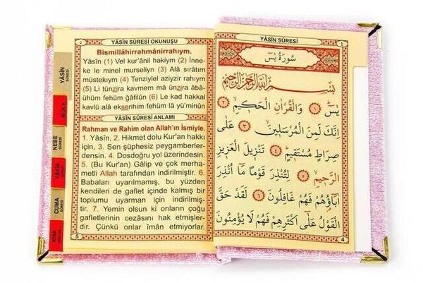 10 قطع - كتاب ياسين بغطاء مخمل اقتصادي - حجم الجيب - لوحة اسم خاصة - لون وردي - ميفليت هيد