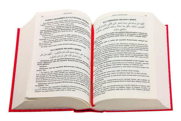 Black David - Commentary on Delail-i Hayrat - Peace Publishing