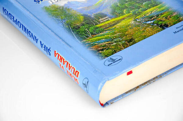 Sûre ve Dualarla Şifa Ansiklopedisi-1219