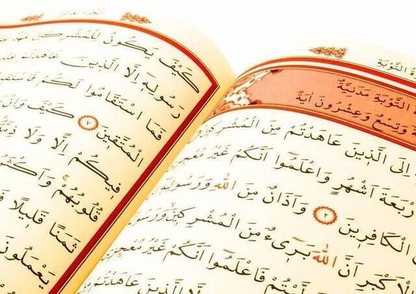 Der Heilige Koran - Normales Arabisch - Mittelgroß - Mit Sprachbox - Mit Computerleitung