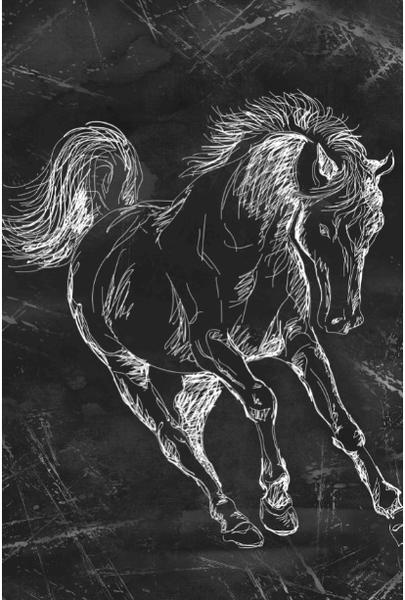 سولي هورس دي جي تي. 40x60 بساط حمام 0478 01