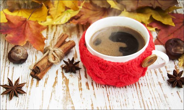 سجادة كوزي للمنزل قابلة للغسل وغير قابلة للانزلاق Rfe6551 80x150