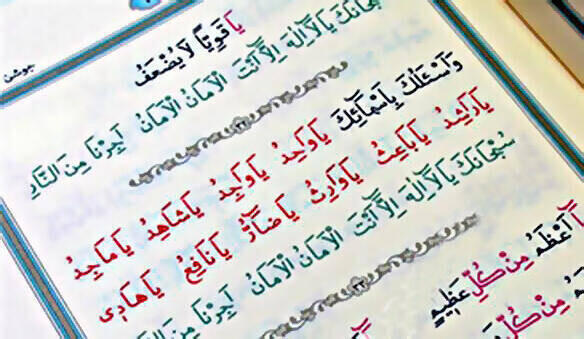 Taschengröße groß - 1881