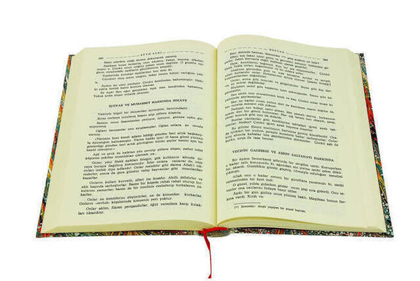 Bostan-Gülistan Altın Küpeler-Bedir Yayınevi