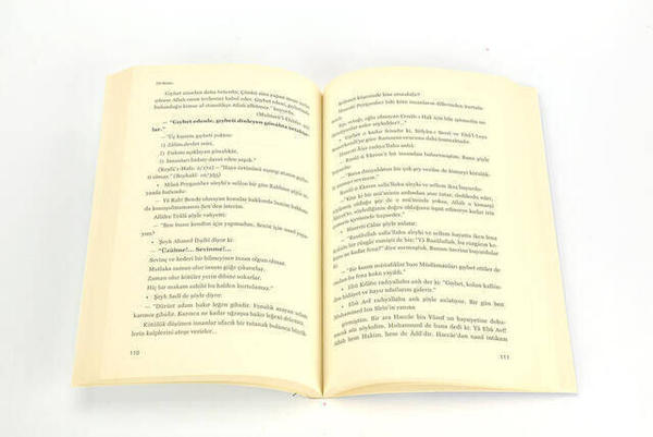 L'art de parler des problèmes de langage - Ragıp Güzel