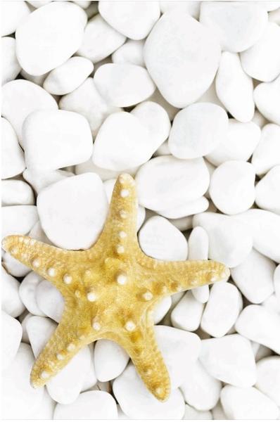 Soley Yıldız Djt. 40x60 Bath Mat 0035 01