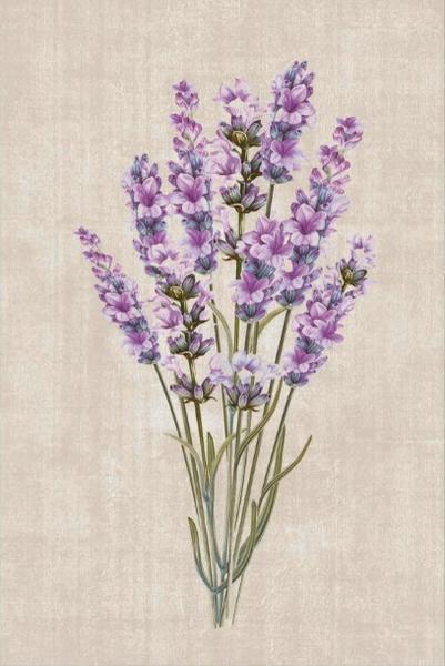 Soley Lavender Djt. 40x60 Bath Mat 0687 01