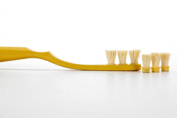 Brosse à dents Miswak de luxe redondante Toothwak