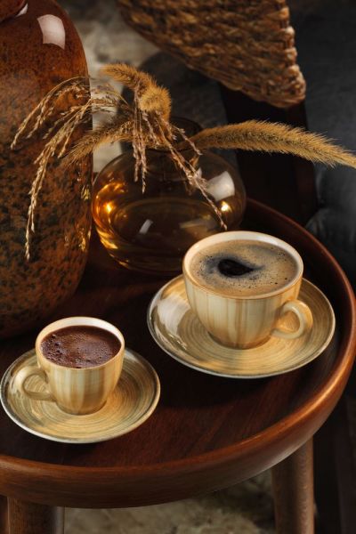 Kütahya Porselen Nanokrem Kahve Takımı 891001