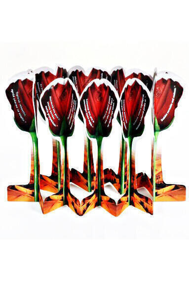 Palissandre 40 Hadith Album Rose Parfumé-1112