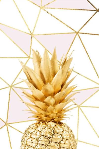 Soley Golden Pineapple Djt. 40x60 Bath Mat 0682 01